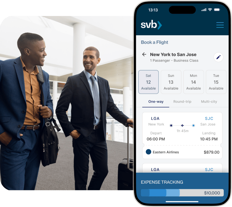 Travel and Expense V 2 ( 1)